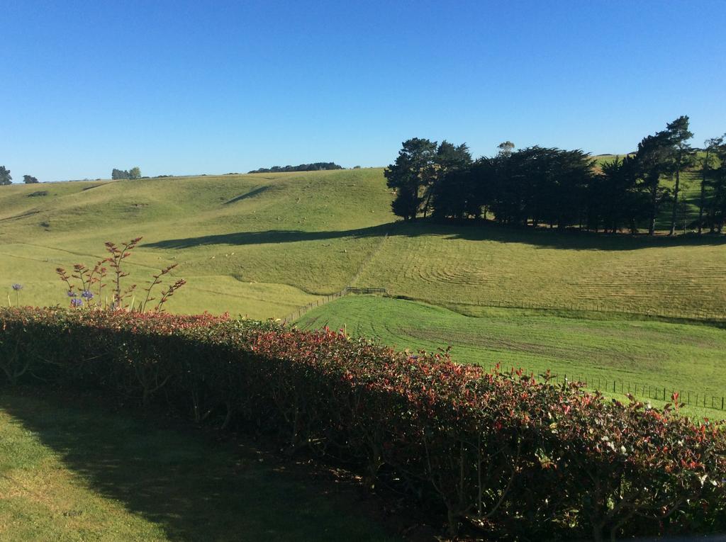 Ataahua Homestay Feilding Esterno foto